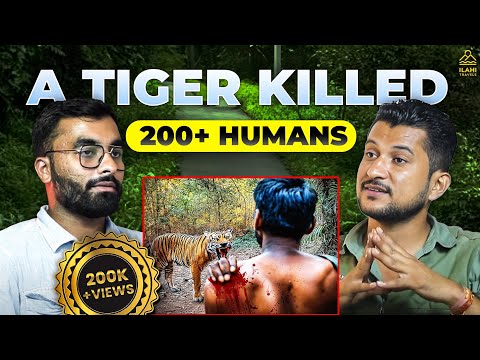 Into the Wild: Jim Corbett Tiger Attack | Ft. Yuvraj | ilahitravels