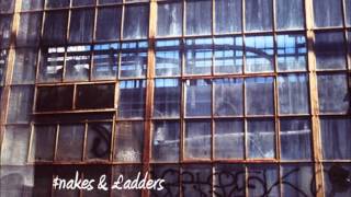 Silver & Gold - Fat Freddy's Drop