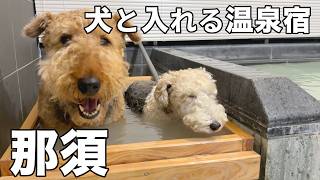 犬連れで那須どうぶつ王国へ！那須の温泉宿に泊まって旅疲れを癒したよ［犬猫５匹旅５］四季の宿こよみ