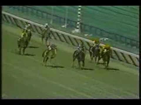 Meadow Star (Breeders Cup Champion) Schuylerville 1991 Clip