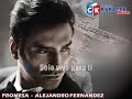 karaoke promesa   alejandro fernandez