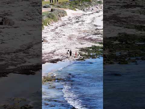 10 Cecily Street, Bluff Point, WA 6530, 0房, 0浴, Section