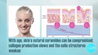 Phytoceramides Demystified