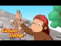 George S Search For Bunnies Curious George Kids Cartoon Kids Movies
