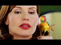 Mom Meets Bird Stuart Little 2 CLIP