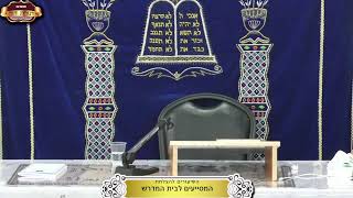 בית המדרש "תורת דוד" ¤ שידור חי ¤ כ"ח חשון תשפ"ו (19.11.2025) (מוסדות תורת דוד) - התמונה מוצגת ישירות מתוך אתר האינטרנט יוטיוב. זכויות היוצרים בתמונה שייכות ליוצרה. קישור קרדיט למקור התוכן נמצא בתוך דף הסרטון