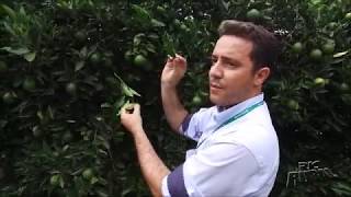 Miniatura do vídeo