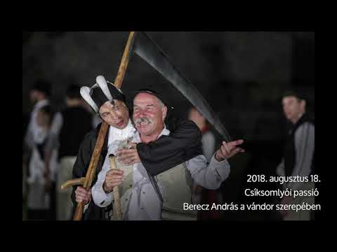 Berecz András - Isten bolondja