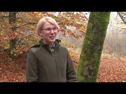 l jak las Nadlesnictwo Orneta grudzien 2024 zawód leśnik