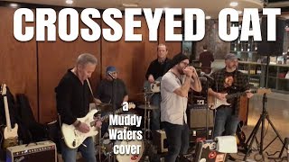 Tumbledown Saints - &quot;Crosseyed Cat&quot; (Muddy Waters cover)