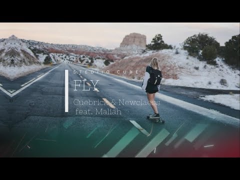 Cuebrick & Newclaess - FLY feat. Maliah