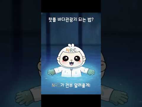 [NRC NOW] 제 24편 _ 국내·외 정책연구동향 VOL.8 | 