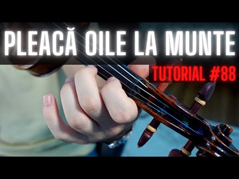 TUTORIAL VIOARA #88 🎻 PLEACA OILE LA MUNTE by Lucretia Ciobanu (rezumat)