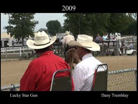 Reining Lucky Star Gun -  Dany Tremblay