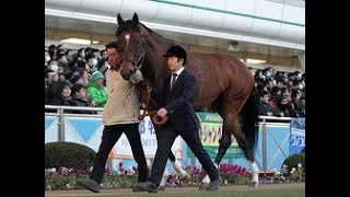 豪G1・3勝のヒトツがジャパンカップ参戦の可能性 父は2015年年度代表馬モーリス|Top News