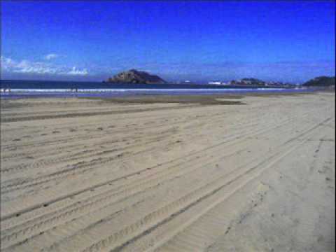 ABRAHAM HICKS Esther And Jerry's Pets Are Fighting