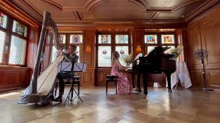 Concert Pianist