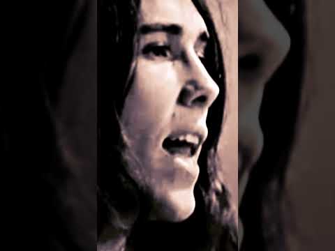 Het Lied Van 2025 - Spinvis