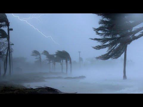 Stormy Night to Sleep Instantly With Heavy Rain, Strong Wind & Power Thunder | Terrible Hurricane