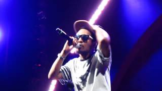 Deltron 3030- Madness @ Prospect Park (Brooklyn), NYC