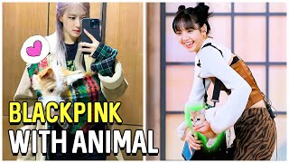 BLackpink With Animals (Cute Moments)