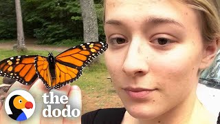 Girl Finds Monarch Butterfly Stuck In Her Car's Headlight | The Dodo Wild Hearts by The Dodo
