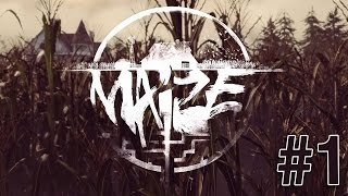 Maize #1 - Abandoned Farm?