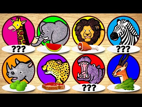Carnivore vs Herbivore | Learn What Zoo Animals Eat for Children