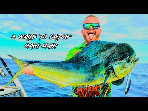 Metro FAD Dollie fun! | 3 ways to catch Mahi mahi/ dolphin fish!