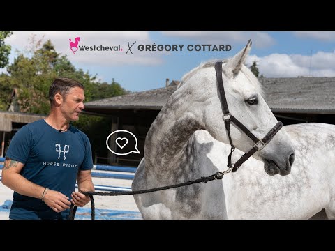 West Cheval X Grégory Cottard - Le portrait de Bibici 👑