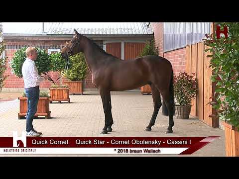 Katalog Nr. 10 - QUICK CORNET