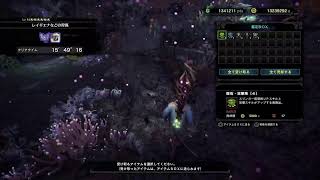 モンハンアイスボーン自由気ままにモンスター狩る。