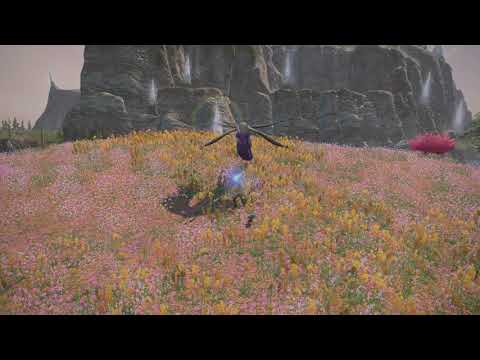 Final Fantasy XIV PS5 4K Test