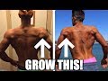 Best Shoulder Exercise for BIG Rear Delts