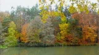 preview picture of video 'Wandern Franken: Sebalder Reichswald von Kalchreuth nach Heroldsberg'