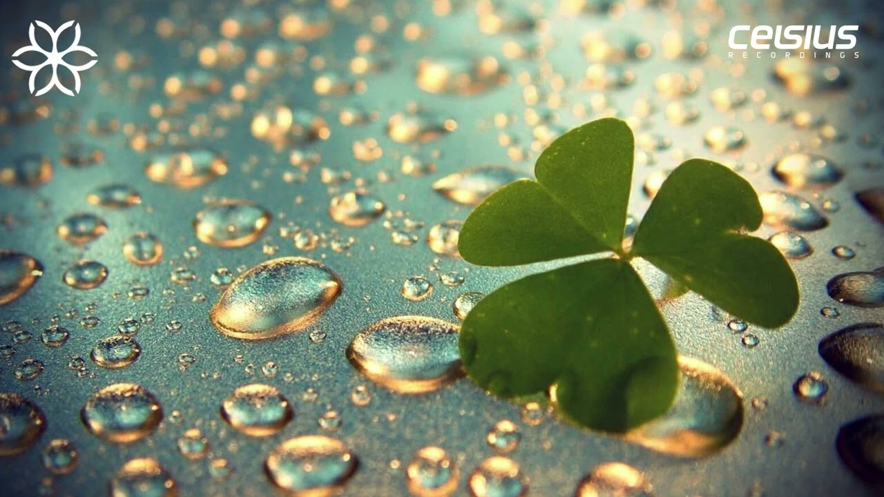 Subrix - I Can Feel A Change