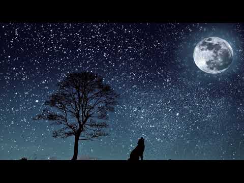 ɴᴇʀᴅᴏғsᴜʙs. - “ALPHA AF” Male Rain Subliminal