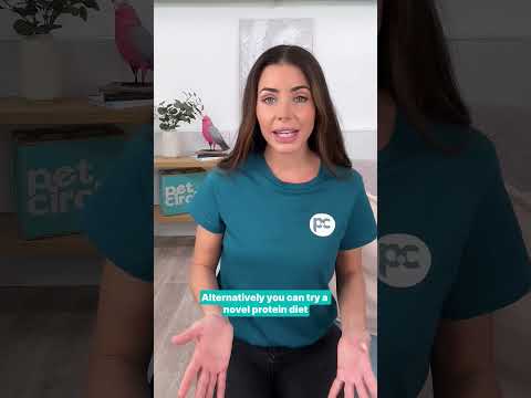 The best food for #dogs with skin allergies | PET CIRCLE