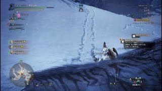 トドメは石ころ【MHW:IB】