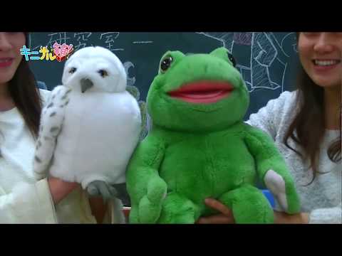 2024年2月放送分