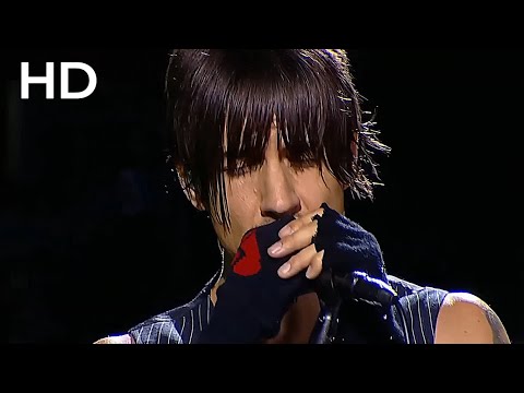 Red Hot Chili Peppers -  This Velvet Glove | Live, Chorzów - Poland, 2007 (SOUNDBOARD AUDIO)