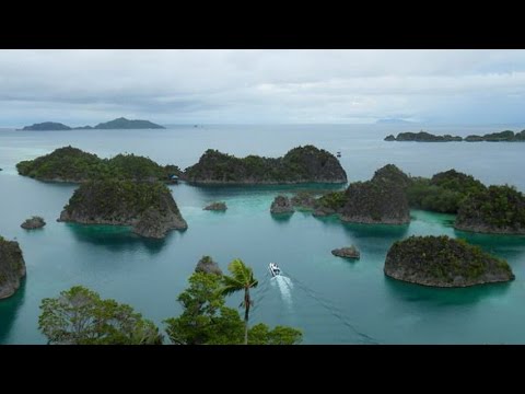 Wisata Alam Raja Ampat Papua wisata-alam-raja-ampat
