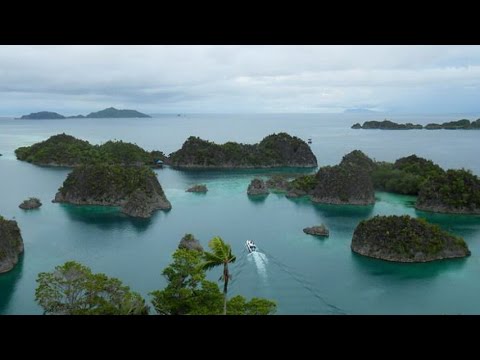 wisata-alam-raja-ampat