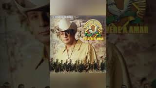 Valentin Elizalde [ Lolita ]