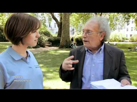 Redes 122: Estamos programados, pero para ser únicos - neurociencia