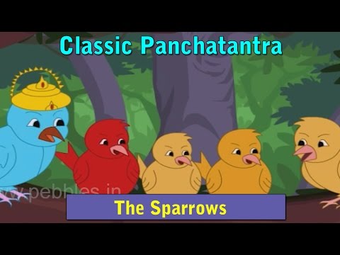 download lagu mp3 mp4 Saving The Sparrow Story, download lagu Saving The Sparrow Story gratis, unduh video klip Saving The Sparrow Story