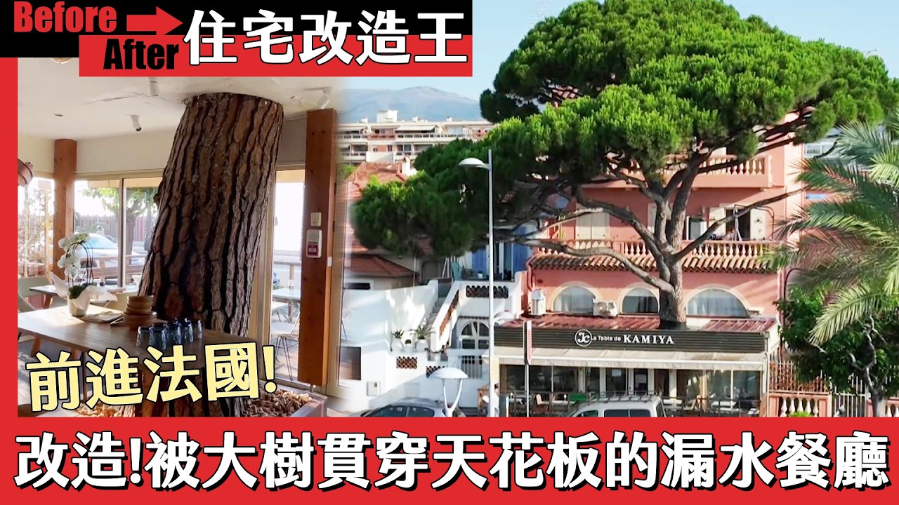 ❗全新❗【住宅改造王X秘境有房好吃驚】前進法國改造！被大樹貫穿天花板的漏水餐廳