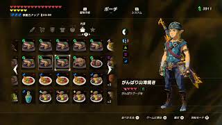 【実況】愛に生きるゼルダの伝説ブレスオブザワイルド part67【ミノル】