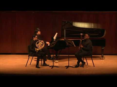 Concertino Op. 43 for Horn, Bassoon and Orchestra - Ignaz Lachner