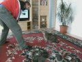 супер драка с котом 